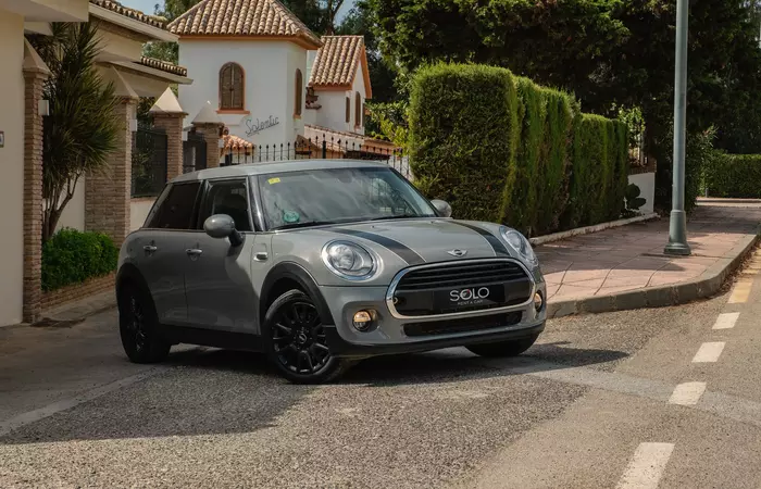 Alquiler de coche con mascotas: normas y tarifas de limpieza en SOLO rent a car
