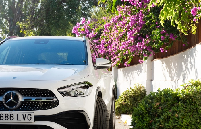 Explorar las regiones vinícolas de Andalucía en coche de alquiler